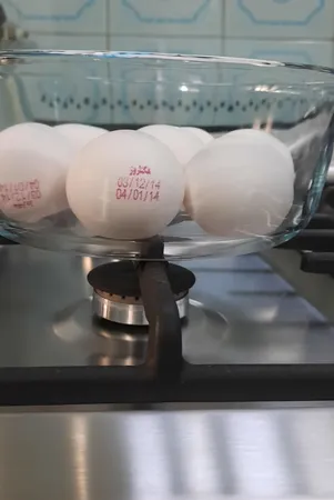 ظرف پخت پاشاباغچه کد 59023