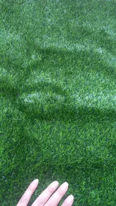 تجریه خرید چمن مصنوعی مدل 10 سایز 2x1 متر