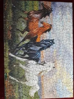 پازل 500 تکه ایران پازل طرح اسب های زیبا