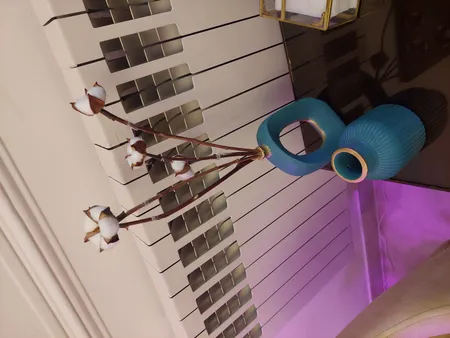 گل خشک مدل شاخه پنبه بسته ی 5 عددی