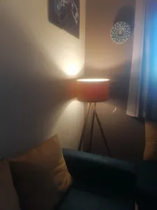 تجریه خرید آباژور ایستاده آس کرال وود مدل چرخشی  As-ch010