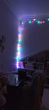 ریسه ال ای دی طرح برگ طول 5 متر