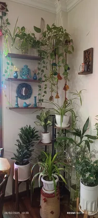 شلف دیواری مدل سه طبقه