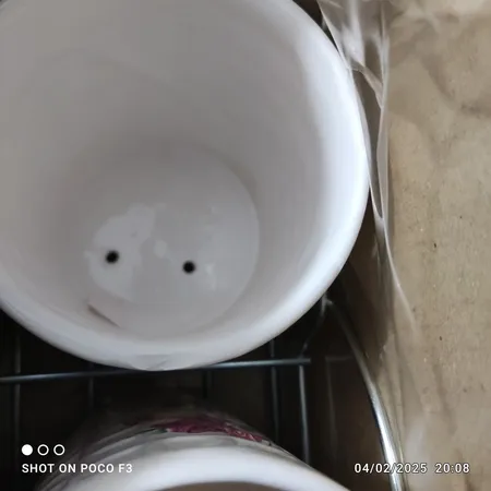 جاقاشقی مدل FLowers