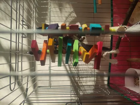 اسباب بازی پرندگان مدل آویز قفس عروس هلندی