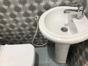 تجریه خرید شیر روشویی دزلی مدل لاروس