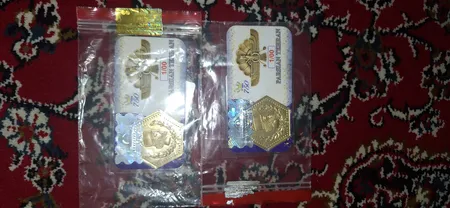 سکه طلا گرمی 18 عیار پارسیان مدل 1403