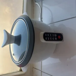 تجریه خرید پلوپز 3 نفره مه پویا مدل DM-300