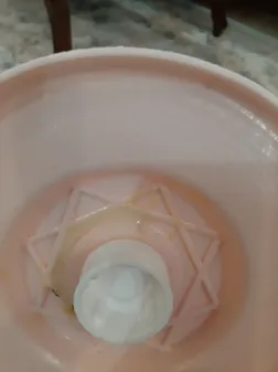 زمین شوی همارا مدل Standing