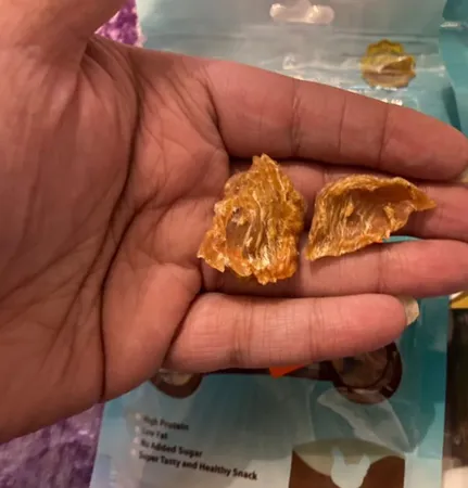 غذای تشویقی سگ پت پرایز مدل Chicken Bite وزن 50 گرم