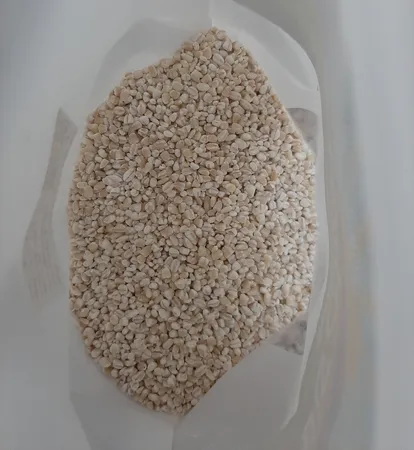 بلغور جو دوسر دستچین کالا - 1000 گرم