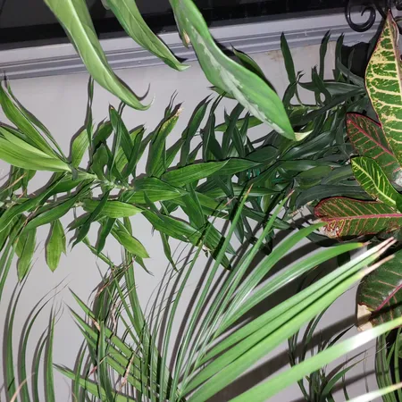 نگهدارنده گیاه مدل نیلوفری کد a-789 بسته چهار عددی