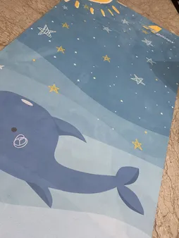 زیر انداز یوگا اجیلی نکس مدل وال ضخامت 6 میلی متر