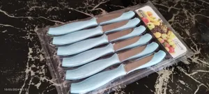 تجریه خرید کارد میوه خوری بیوتی مدل VB-50 مجموعه 12 عددی