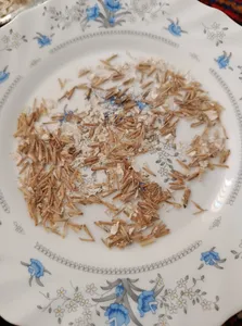 تجریه خرید جودوسرپرک صبحانه فوری اعتماد - 1 کیلوگرم