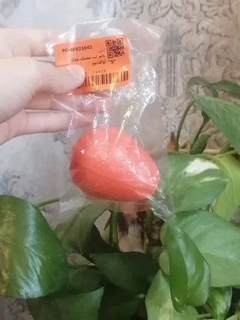 بالم لب مجیک مدل اواکادوو