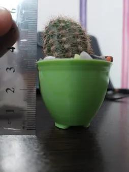 گلدان کلاسیک مدل G3004 مجموعه 50 عددی