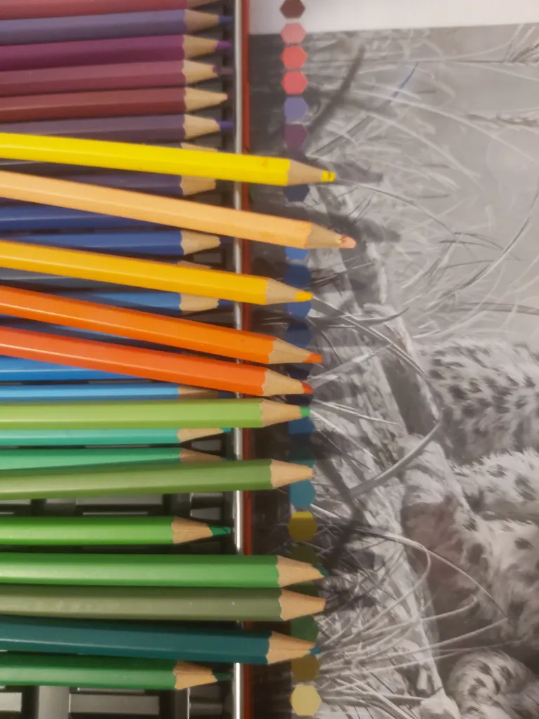 مداد رنگی 50 رنگ فکتیس طرح بچه پلنگ