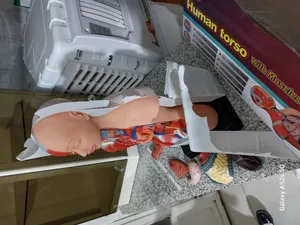 تجریه خرید بازی آموزشی طرح مولاژ آناتومی بدن انسان مدل 6060