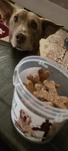 تجریه خرید تشویقی سگ تیدبیت مدل CRUNCHY TREATS وزن 160 گرم