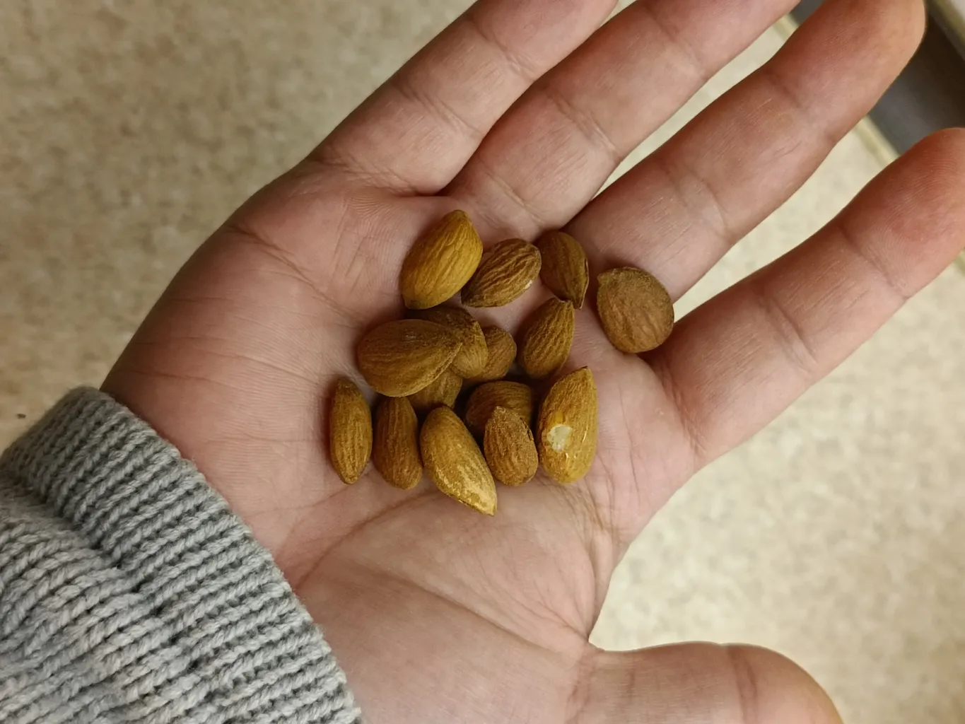 مغز بادام خام صادراتی آنید - 200 گرم