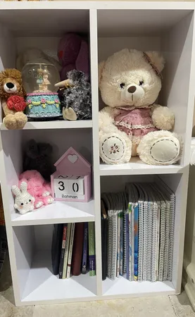 کتابخانه مدل قفسه ای IKE4407