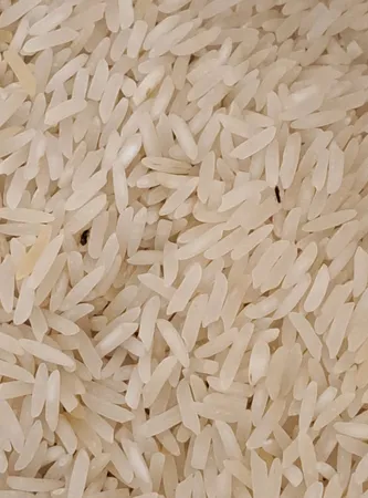 برنج طارم فجر - 10 کیلوگرم