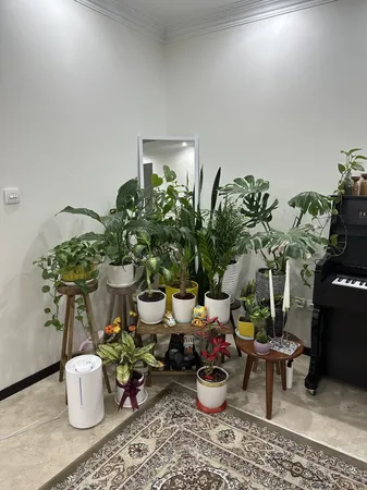 عکس ارسالی خریدار