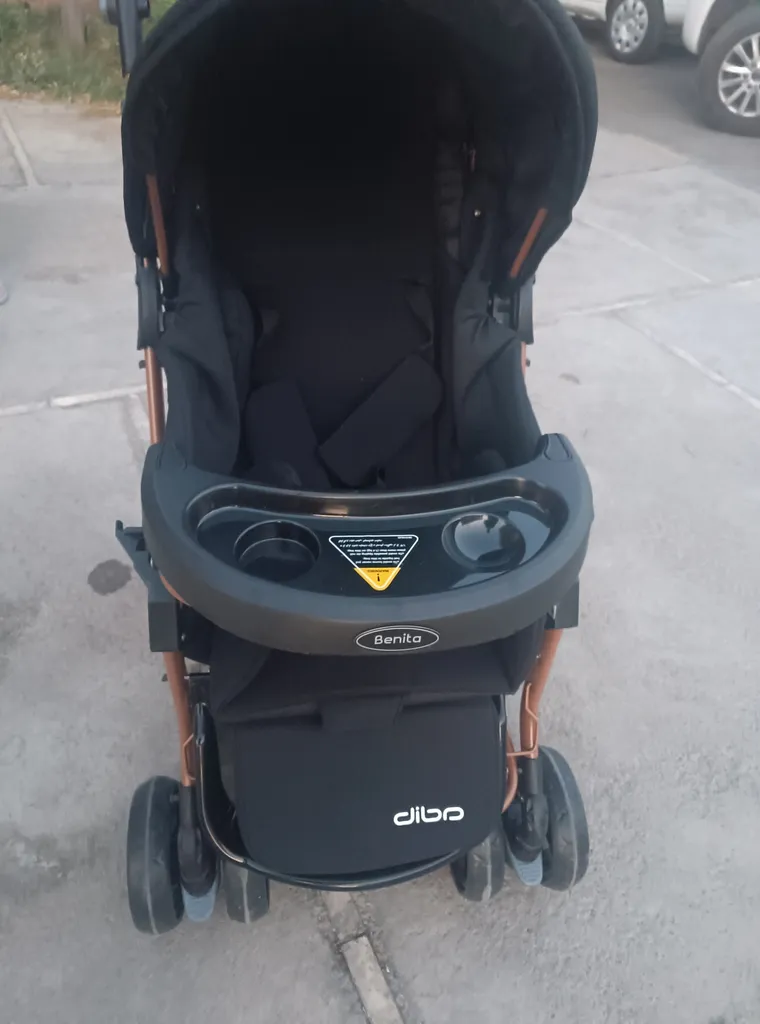 کالسکه دلیجان مدل بنیتا بدنه مسی