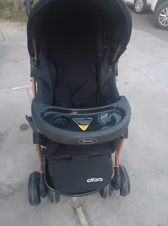 کالسکه دلیجان مدل بنیتا بدنه مسی