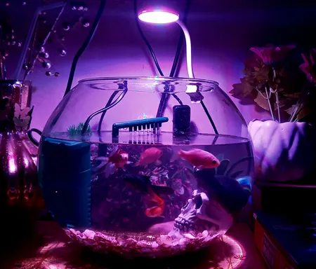 گیاه تزیینی آکواریوم آکوا مارس کد B09