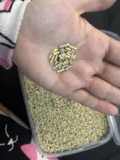 تجریه خرید غذای خشک خوکچه هندی مدل پلت A+ وزن 1 کیلوگرم