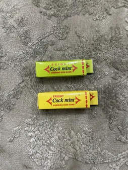 ابزار شوخی مدل آدامس سوسکی بسته 2 عددی