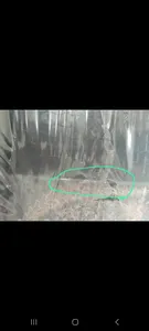 تجریه خرید نردبان پنج پله مدل 1164