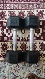 دمبل رکورد مدل N11 وزن 5 کیلوگرم بسته 2 عددی