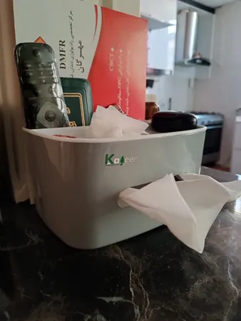 جا دستمال کاغذی مدل H109