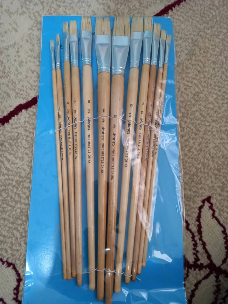 قلم مو تخت ماریس کد 579 مجموعه 12 عددی