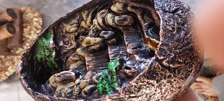 جاعودی مدل آبشاری طرح صخره کد 508