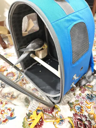 کوله پشتی حمل پرندگان مدل Z001