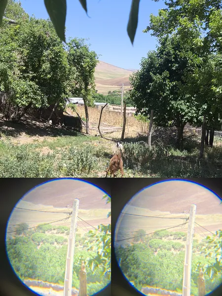 عکس ارسالی خریدار