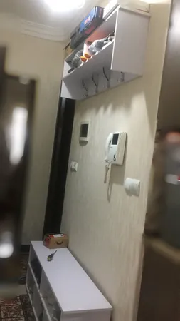 جاکفشی مدل DLF03L