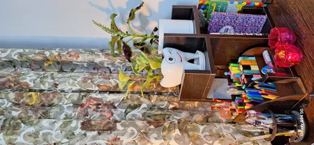 کتابخانه رومیزی مدل کاکتوس