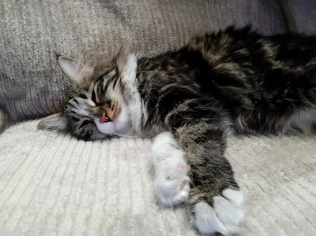 پتو مسافرتی مدل پلیسه سایز 200x220 سانتی متر