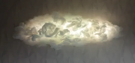 پنبه بهداشتی رایا کد 01 بسته 2 عددی