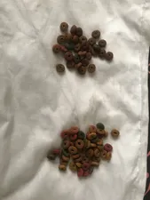 تجریه خرید غذای خشک گربه بالغ رفلکس مدل Multicolor New وزن 15 کیلوگرم