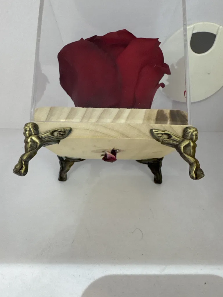 گل رز جاودان دکوفیوره طرح گل سرخ