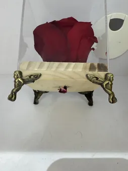 گل رز جاودان دکوفیوره طرح گل سرخ