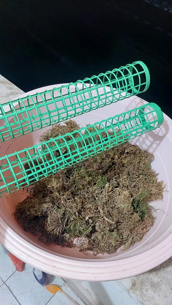 قیم بند  کد 90cm بسته 3 عددی