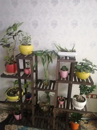 استند گلدان مدل Mtf5