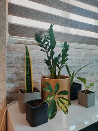 گلدان طرح مکعب مدل مهرنی 10-104